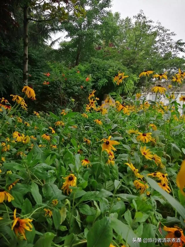 边旅行边赚钱的办法可行吗?