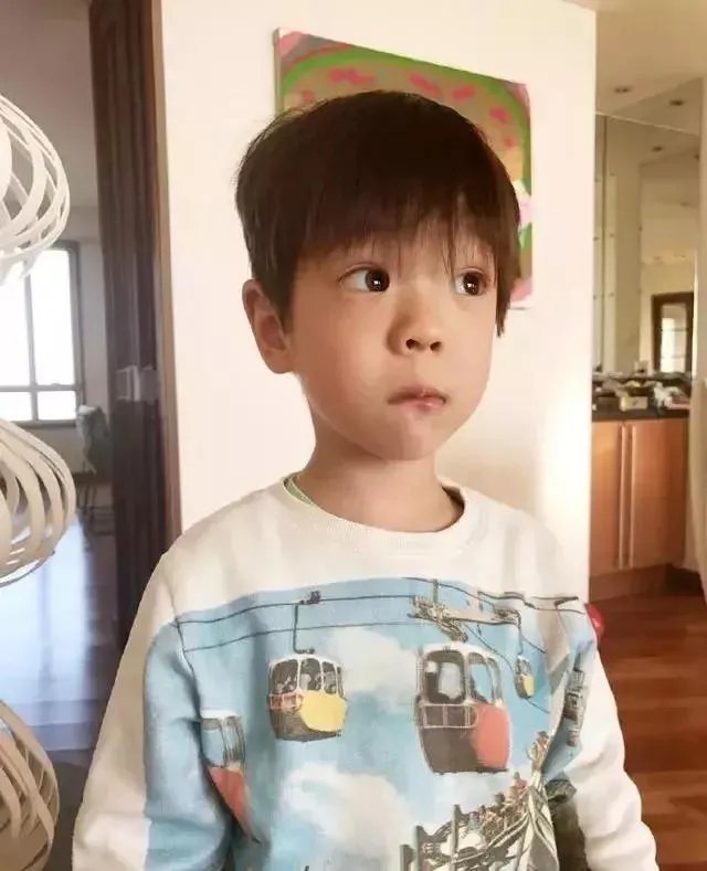 霍思燕儿子嗯哼长大了，单眼皮变成双眼皮，颜值爆表，你觉得帅吗？