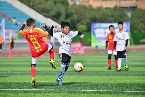 陆毅女儿贝儿京剧扮相出镜，造型十分亮眼，明星的孩子们为何大多比较出彩？