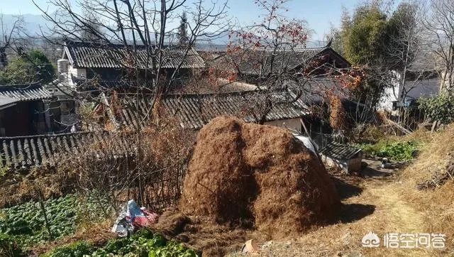 过年去云南旅游合适吗？