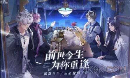 猫之宿约者第五章攻略大全