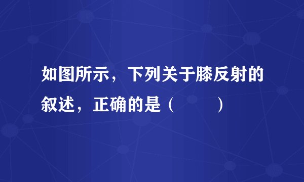 如图所示，下列关于膝反射的叙述，正确的是（　　）
