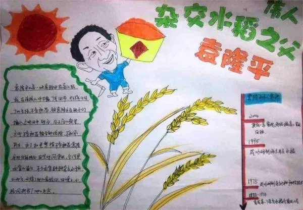 袁隆平手抄报五年级