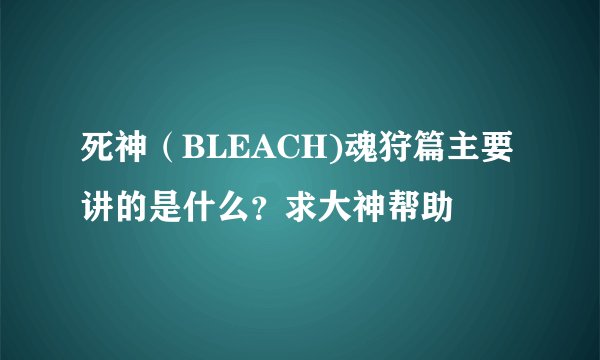死神（BLEACH)魂狩篇主要讲的是什么？求大神帮助