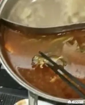 孕妇吃火锅捞出老鼠，店家疑称“给2万把孩子打了”，对此你怎么看？