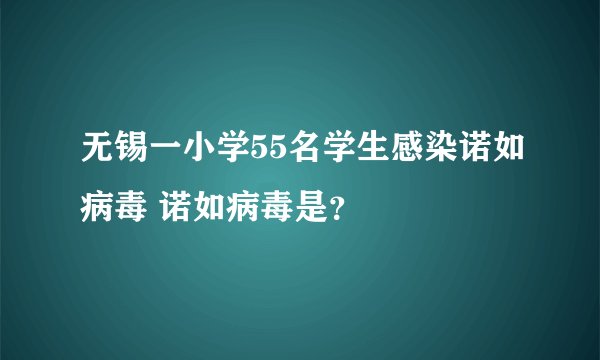 无锡一小学55名学生感染诺如病毒 诺如病毒是？