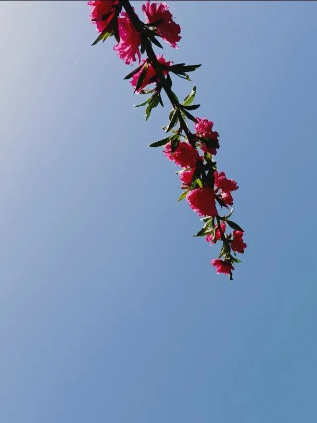 马伊琍与吴皓宸约会曝光，她真的爱上了比自己小17岁的男人吗？