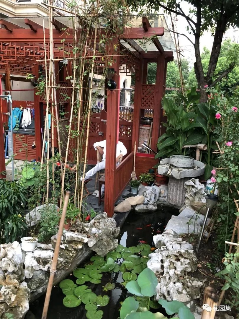 纯天然庭院鱼池打造攻略，生态、省心又实惠！赶紧收藏