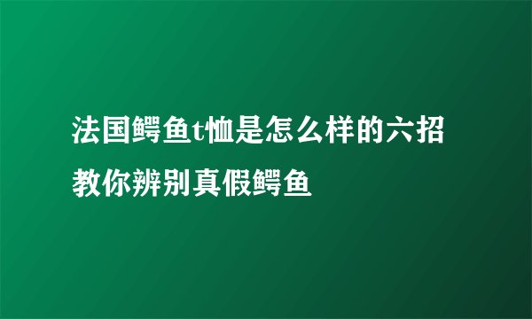 法国鳄鱼t恤是怎么样的六招教你辨别真假鳄鱼