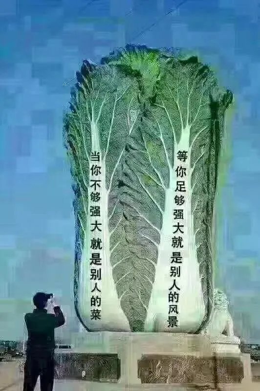 王宝强获商家力挺是真的嘛?