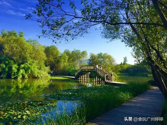 中国共有哪些著名的湿地公园？