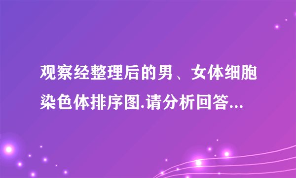 观察经整理后的男、女体细胞染色体排序图.请分析回答:(1)从图可看出,人的体细胞中,染色体是   存在的.染色体由蛋白质和  两种物质组成(2)根据染色体组成可以判断,乙为      (填“男”或“女”)性的染色体组成.乙产生的生殖细胞中含有      条染色体.(3)甲、乙的眼睑性状均表现为双眼皮,却生了一个单眼皮的孩子.若他们再生一个孩子,表现为单眼皮的可能性是      .