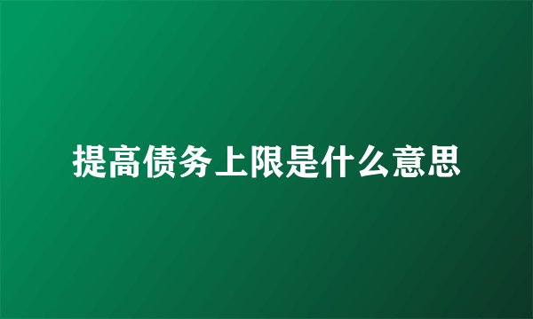 提高债务上限是什么意思