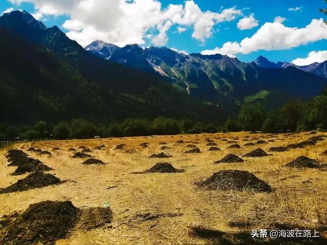 什么车最适合自驾游，为什么？