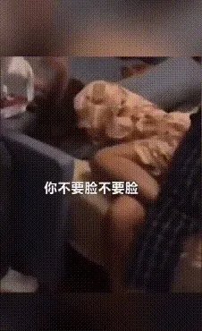 《如懿传》女演员王梓芠被曝当小三被捉，如果属实，原配应该如何合理维权？