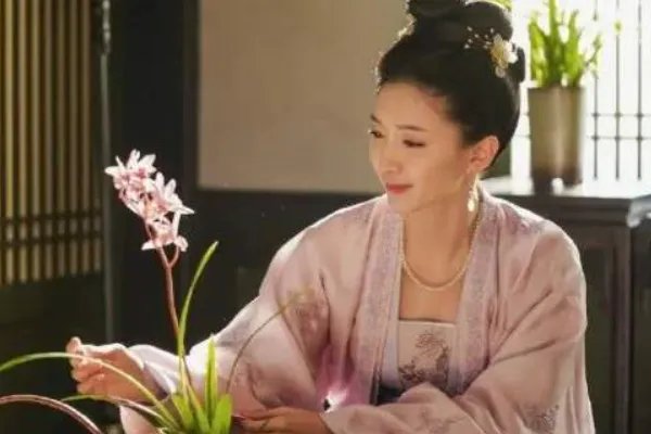 《清平乐》曹皇后和张茂则是什么关系？