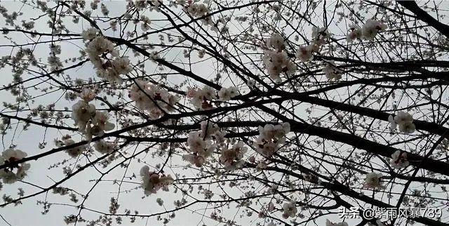 在这个三八妇女节，你对心中的女神最想说什么话？