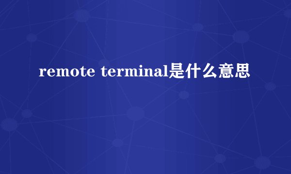 remote terminal是什么意思