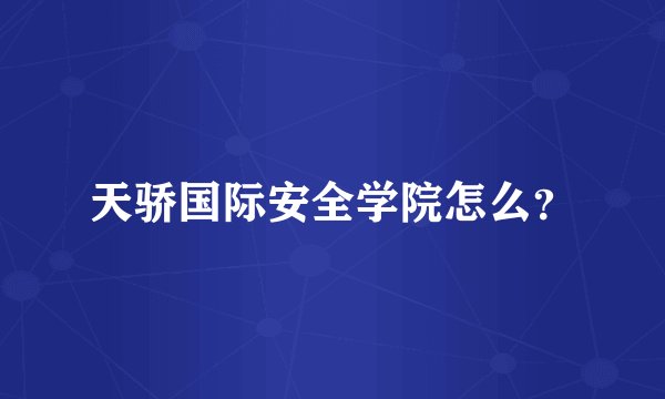 天骄国际安全学院怎么？