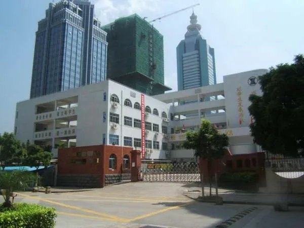 深圳市新洲中学的简介