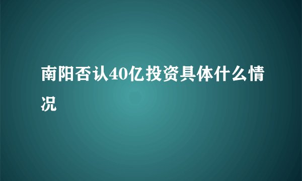 南阳否认40亿投资具体什么情况