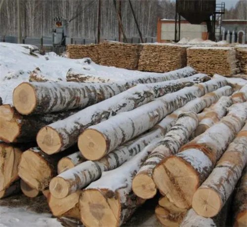 桦木和橡木哪个贵 桦木和橡木的区别分析