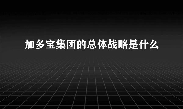 加多宝集团的总体战略是什么