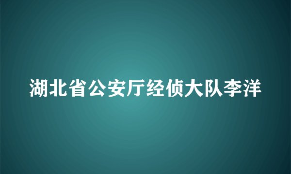 湖北省公安厅经侦大队李洋