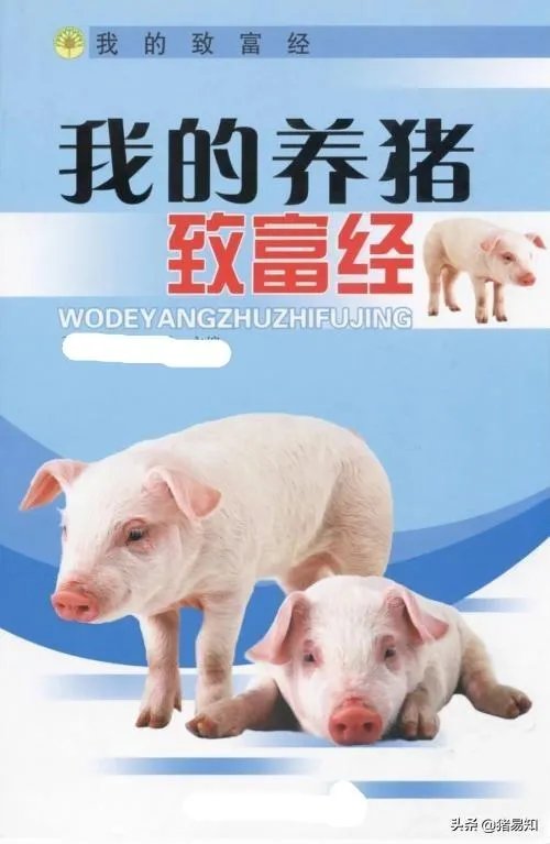 猪价全面暴跌！猪肉降入20元时代，10元猪肉还远吗？