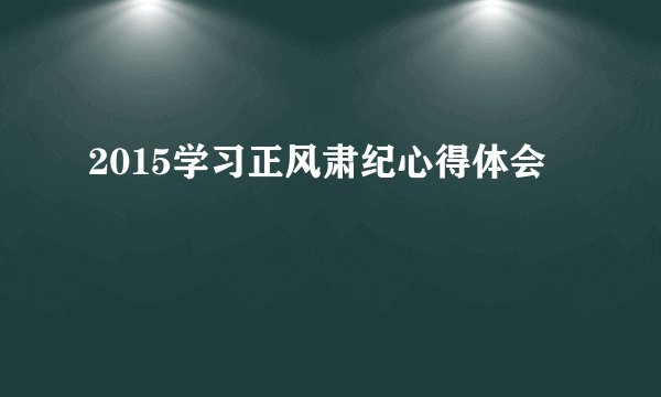 2015学习正风肃纪心得体会