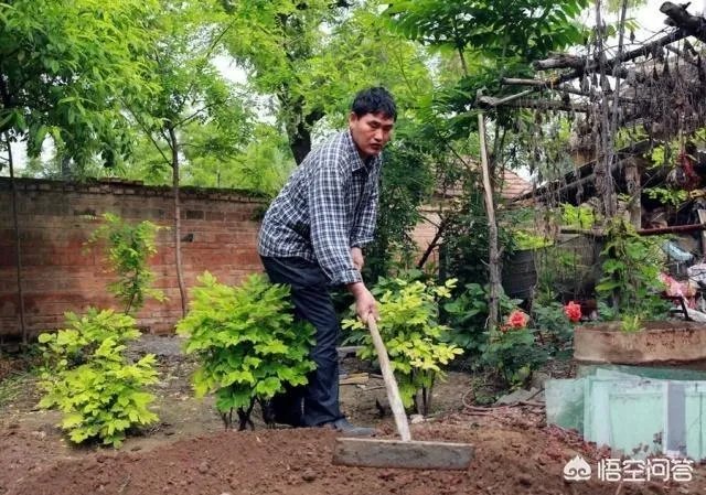 农民歌手就不应该尊重吗？人家为什么那么火？