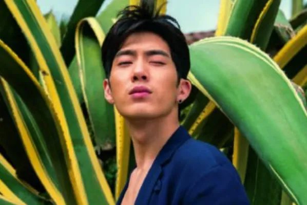 井柏然和杨洋很像