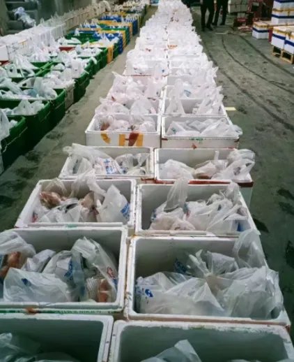 广州疫情蔬菜价格