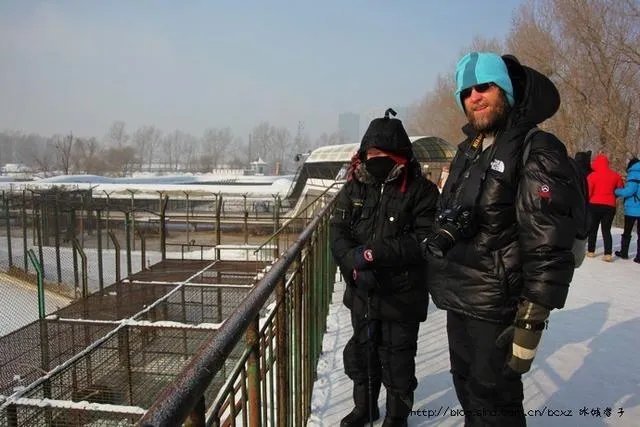 哈尔滨的东北虎林园好玩吗？