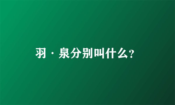 羽·泉分别叫什么？