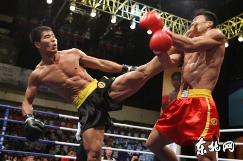 中国武术散打功夫王争霸赛的介绍