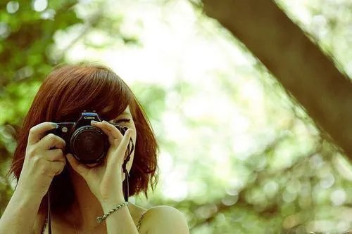 陶宝司冥寒一胎六宝小说 陶宝司先生免费阅读