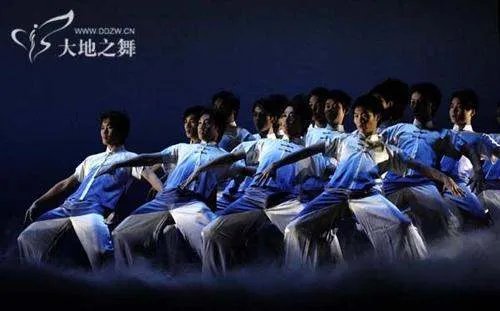 大地之舞网的简介