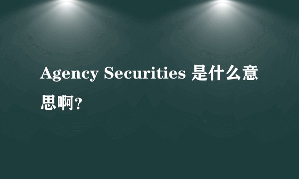 Agency Securities 是什么意思啊？