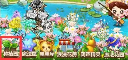 请问玫瑰小镇的断枝怎么得啊？