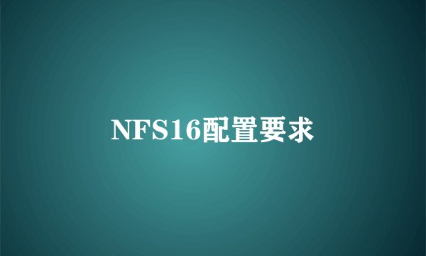 NFS16配置要求