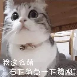 怎么挑选最鲜的海鲜？