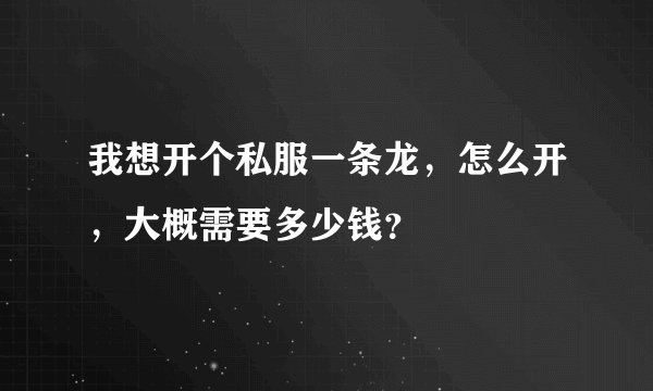 我想开个私服一条龙，怎么开，大概需要多少钱？
