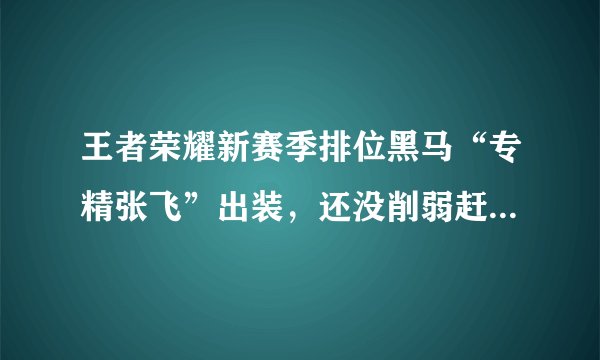 王者荣耀新赛季排位黑马“专精张飞”出装，还没削弱赶紧上分去！