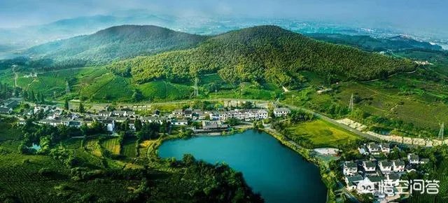 龙井茶的由来是什么？