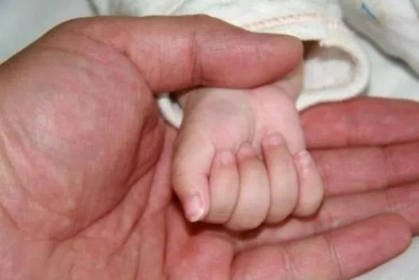 birth是什么意思