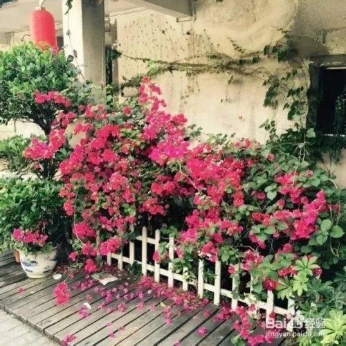 深圳观澜版画村怎么去，好不好玩？