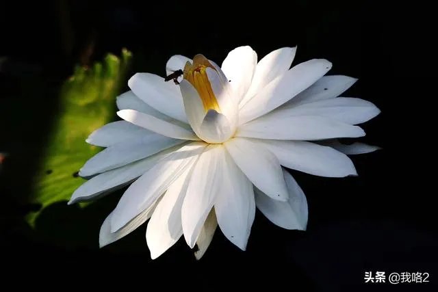 广州流花湖公园好玩嘛？