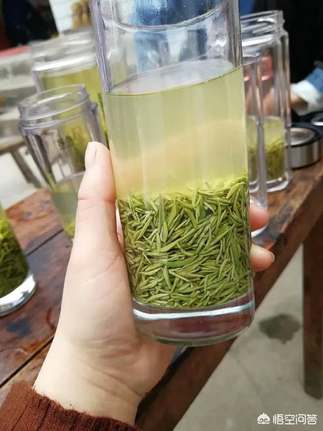 如何辨别信阳毛尖新茶？