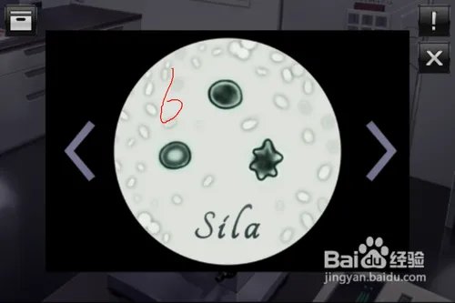 逃脱本色3-7怎么过